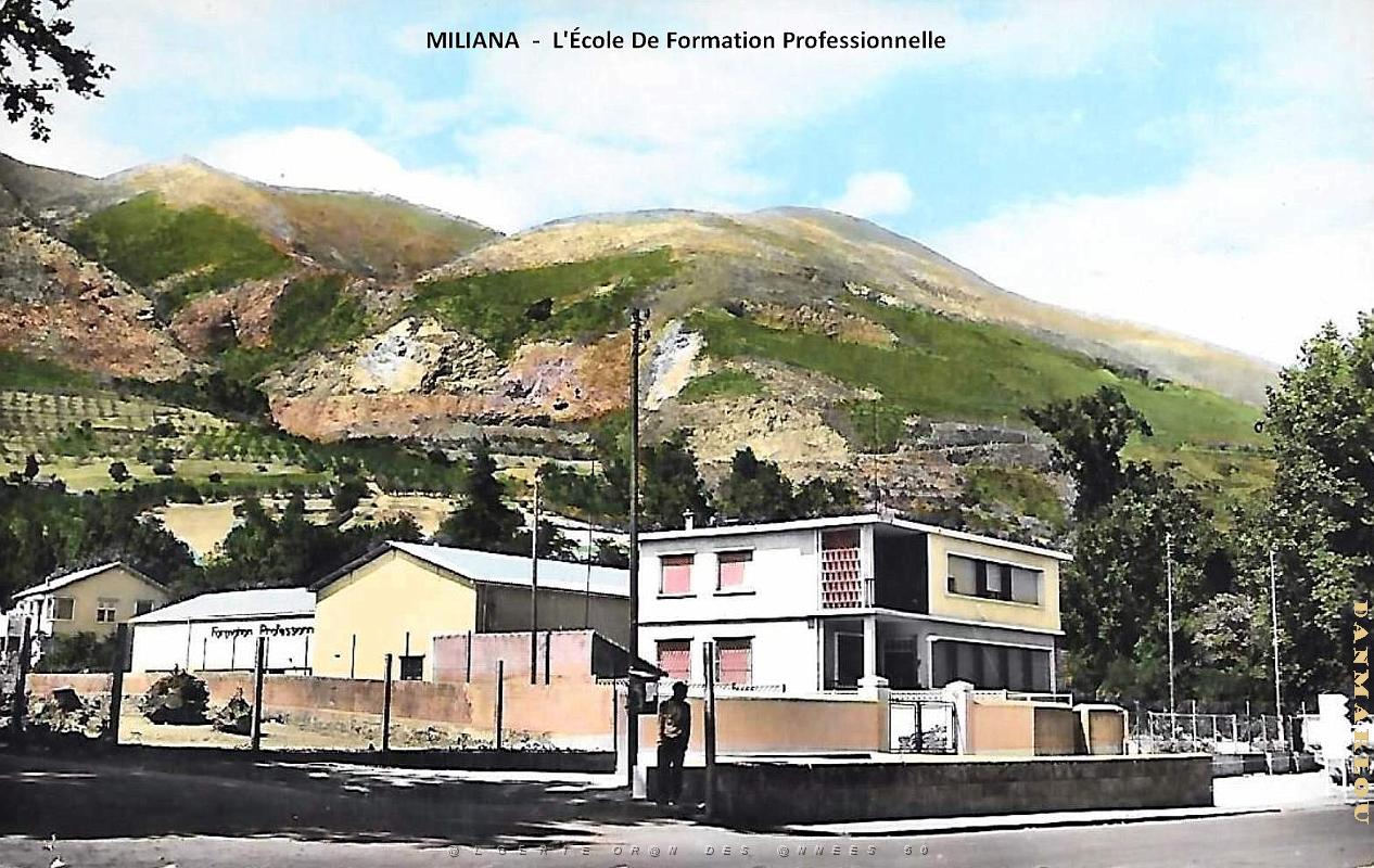 Miliana - Ecole Formation Professionnelle.jpg